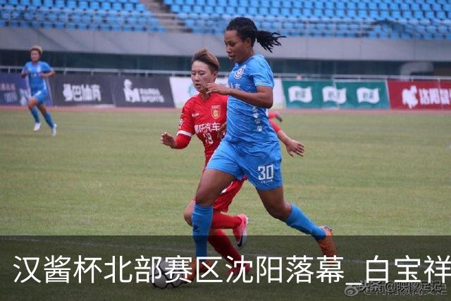 汉酱杯北部赛区沈阳落幕 白宝祥屠嘉瑞崔欣获各组冠军